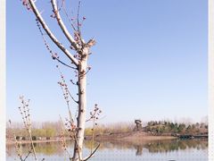 -东郊湿地公园