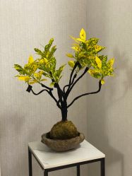 -橙沐普拉提瑜伽