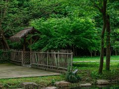 -兰亭风景区