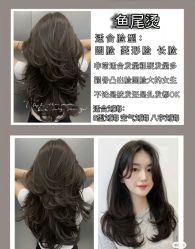 -YESIDO椰岛造型