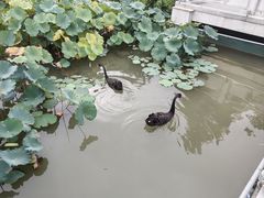 -南通濠河风景名胜区