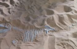 -恐龙探索乐园(磁器口店)