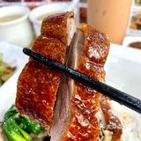 东莞｜十年老牌‼️港式茶餐厅烧鹅饭！