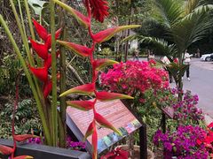 -中国科学院西双版纳热带植物园