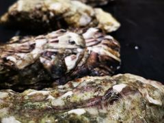 -月下料理(楷林IFC店)