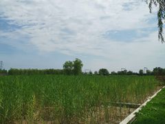 -永定河休闲森林公园