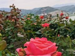 -白帝城·瞿塘峡景区