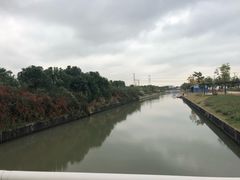 -菊园百果园