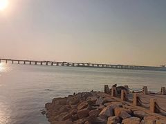 -宝安西湾红树林湿地公园