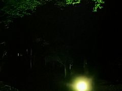 -奈良公园