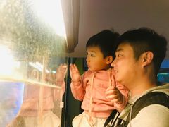 -上海大自然野生昆虫馆(东方明珠·爬宠昆虫探索中心)