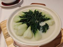 鸡汁白菜仔-利苑酒家(合景国际金融广场店)