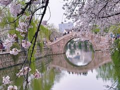 -常熟方塔园