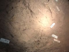 -世界恐龙谷景区