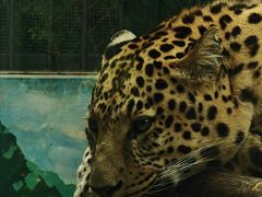 -昆明动物园