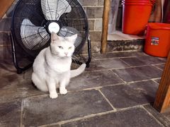 -张记牛肉面馆(天津路店)