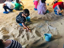 -恐龙探索乐园(磁器口店)