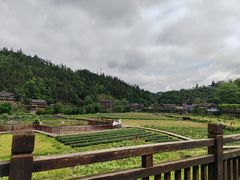 -程阳八寨景区
