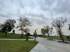 -深圳人才公园