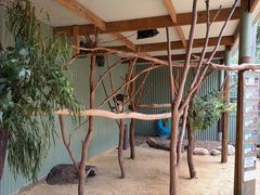 -费瑟代尔野生动物园