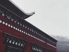 -塔公寺
