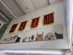 -爱侣宠医·鹦鹉专科·小型哺乳类·异宠专科(灵石路店)