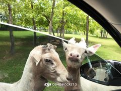 -南京金牛湖风景区