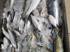 -宋船渔栈(白沙店)