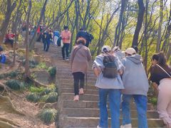 -紫金山山顶公园