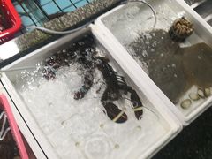 -霞涌市场海鲜摆卖区