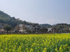 -红山村
