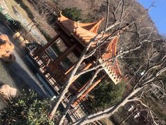 -长安文化生态公园