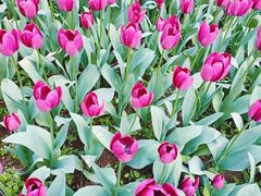 -长春公园(普阳街道)