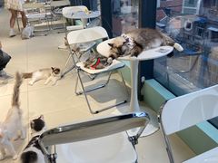 -怪兽屋·羊驼·猫咖·狗咖(俊华广场店)