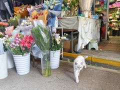 -循礼门鲜花花市(武汉循礼门店)