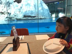 -帝企鹅自助餐厅•儿童岛•真企鹅(长隆企鹅酒店)