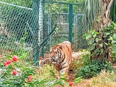 -海南热带野生动植物园
