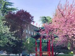 -西安交通大学(雁塔校区)