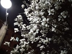 -老苏州芳和园茶酒楼  传统苏帮菜(观前店)