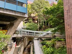 -香港大学