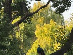 -J Create城市露营咖啡·简餐·宠物(上海动物园店)