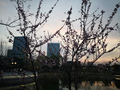 -西海子公园