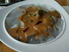 拉皮-管氏翅吧(广渠门店)