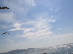 -海驴岛(荣成市)
