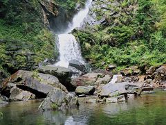 -石台牯牛降景区