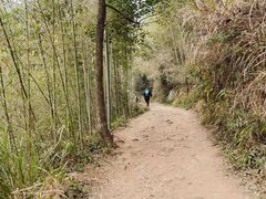 -莫干山风景区