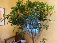 -萤火虫咖啡(后海店)