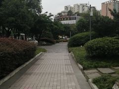 -神仙树公园
