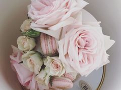 -Biteology Artisan Cakes(红庄·国际文化保税创新园店)