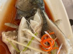-津悦·正阳春烤鸭(红旗南路店)